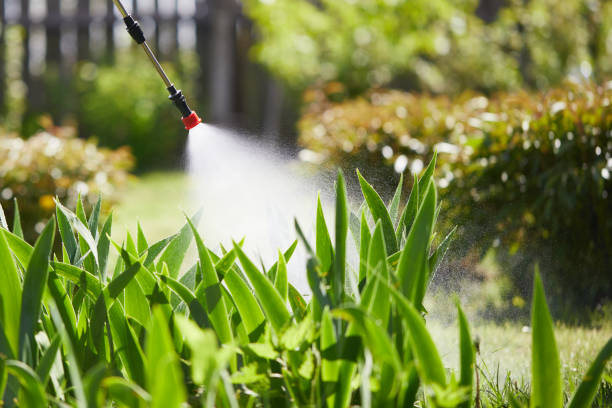 24/7 Emergency Mosquito Control experts in Lakewood Club, MI